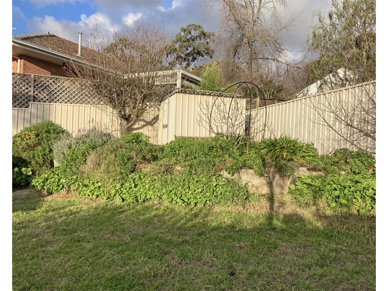 6 Nilpinna Street, Burnside SA 5066