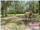 94 PHILLIP CRESCENT, Barellan Point QLD 4306