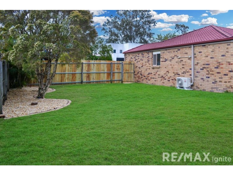 12 Curlew Place, Riverhills QLD 4074