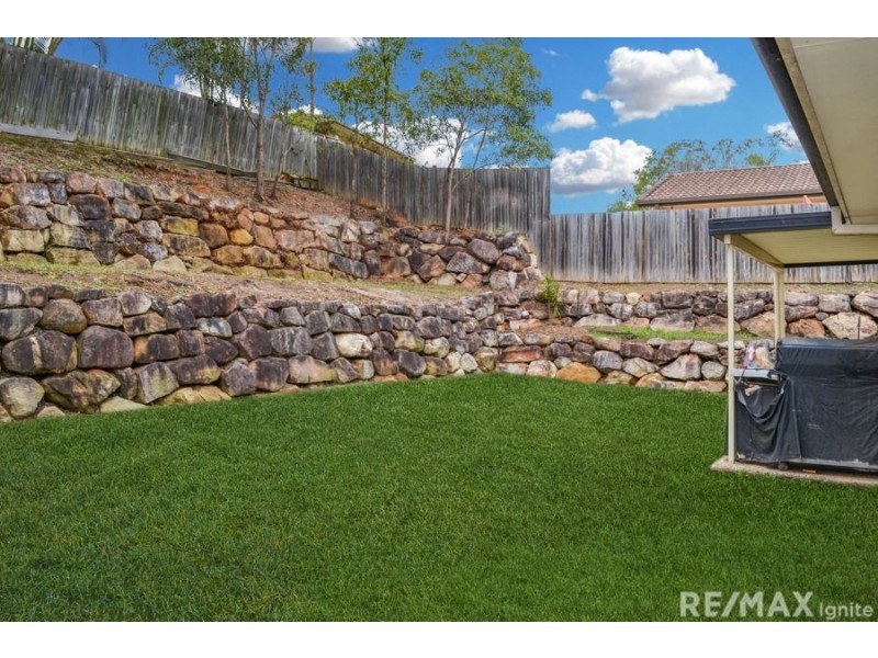 219 Eagle Street, Collingwood Park QLD 4301