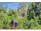32 Sealark Cove, Karalee QLD 4306