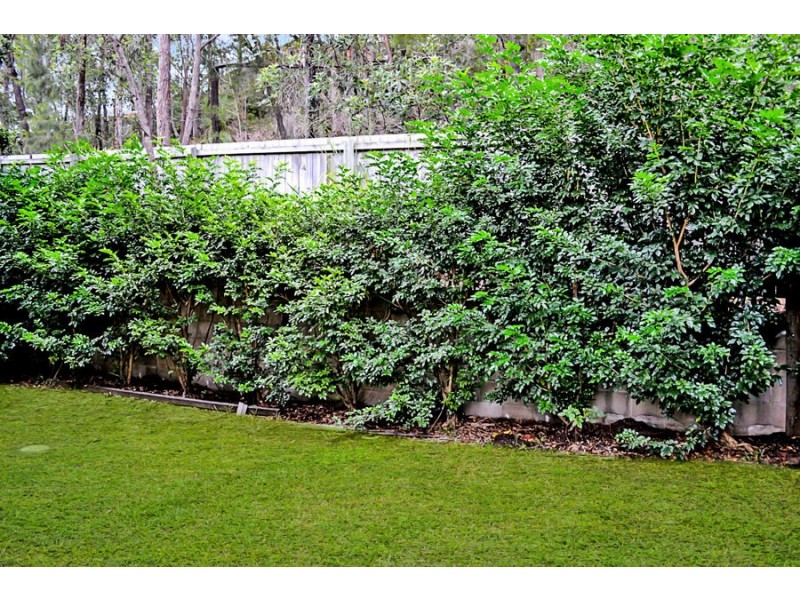 61/250 Sumners Road, Riverhills QLD 4074