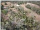74 POWERS ROAD, Muirlea QLD 4306