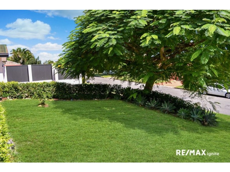 33 PENNANT STREET, Jamboree Heights QLD 4074