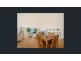 74 Steyne Rd, Saratoga NSW 2251
