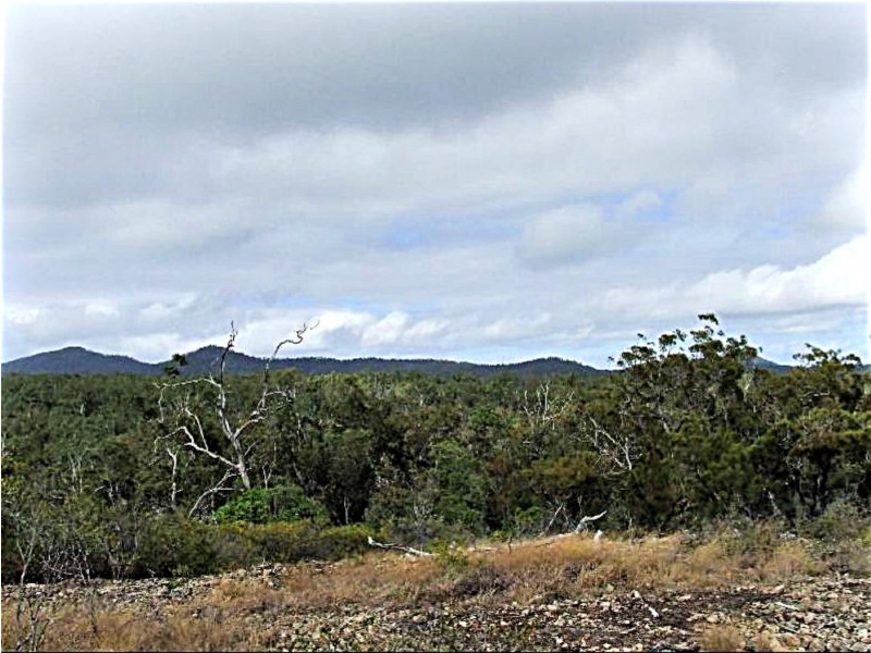 768 Wooroora Rd, Millstream QLD 4888