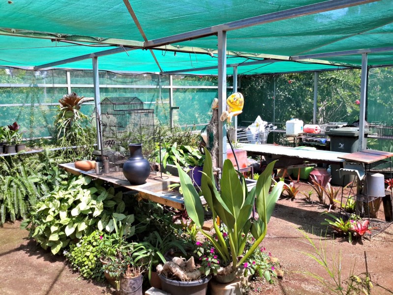 60 WESTERN VIEW Crescent, Ravenshoe QLD 4888