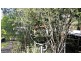 30 Mcgidigan Rd, Ravenshoe QLD 4888