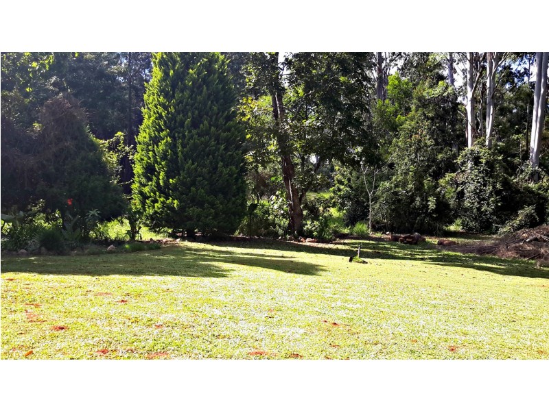 30 Mcgidigan Rd, Ravenshoe QLD 4888