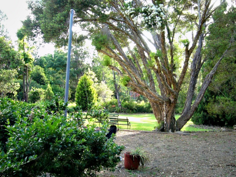 30 Mcgidigan Rd, Ravenshoe QLD 4888