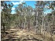 97 Eucalyptus Rd, Millstream QLD 4888