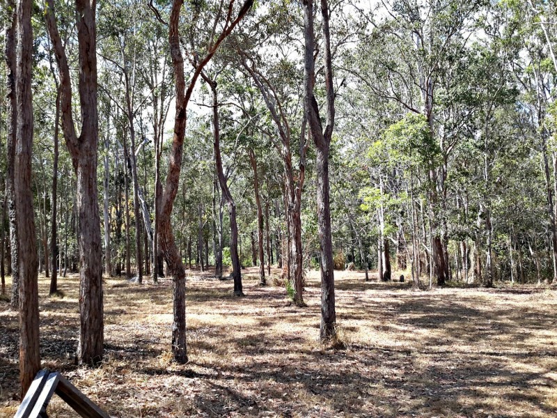 97 Eucalyptus Rd, Millstream QLD 4888