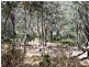 97 Eucalyptus Rd, Millstream QLD 4888