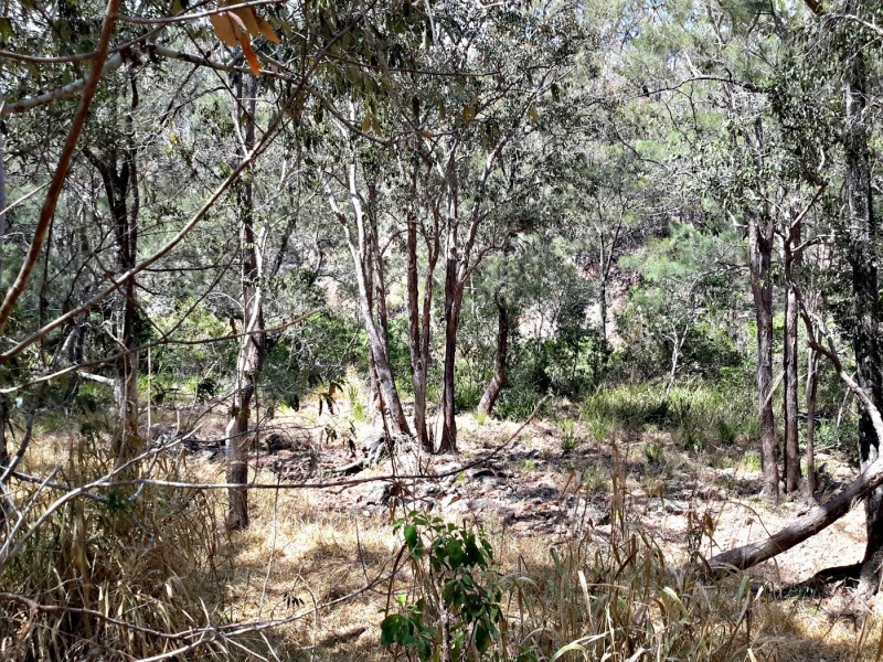 97 Eucalyptus Rd, Millstream QLD 4888
