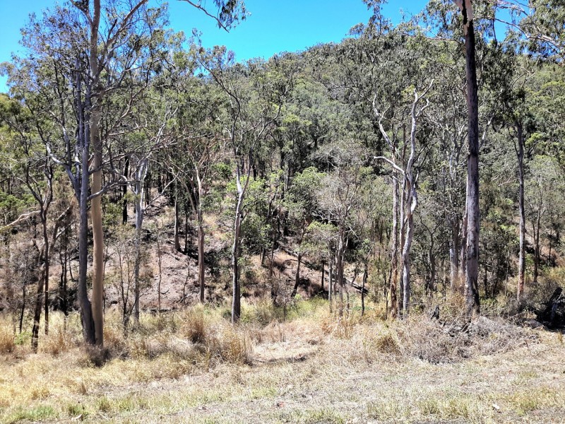 141 Greys Lane, Ravenshoe QLD 4888