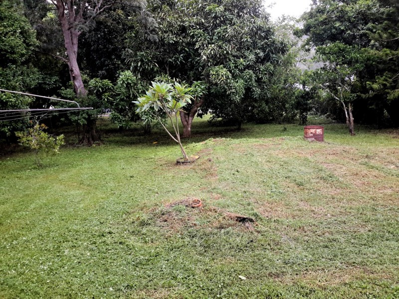 17 Ascham St, Ravenshoe QLD 4888