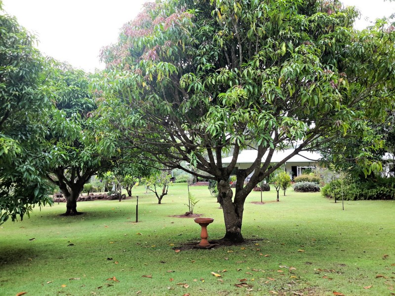 447 Millstream Pde, Millstream QLD 4888