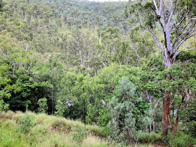 447 Millstream Pde, Millstream QLD 4888