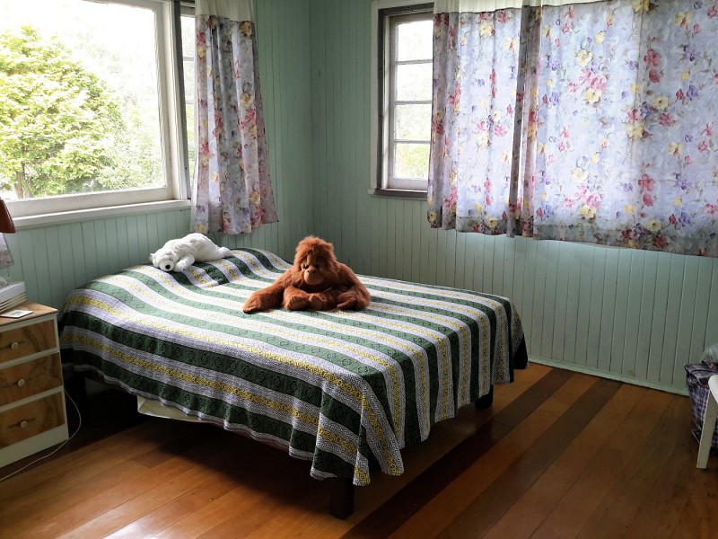 20 Herbert St, Ravenshoe QLD 4888