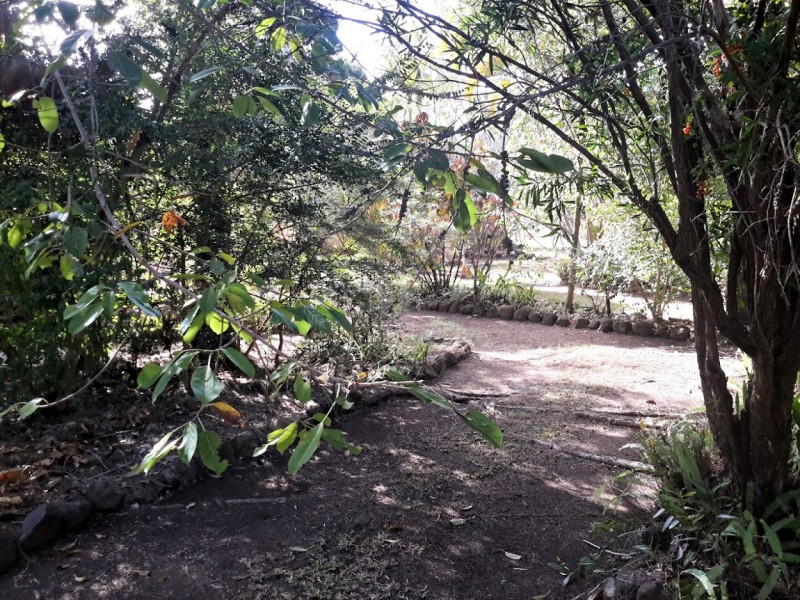 165 Millstream Pde, Millstream QLD 4888