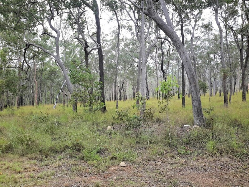 1081 Wooroora Rd, Millstream QLD 4888