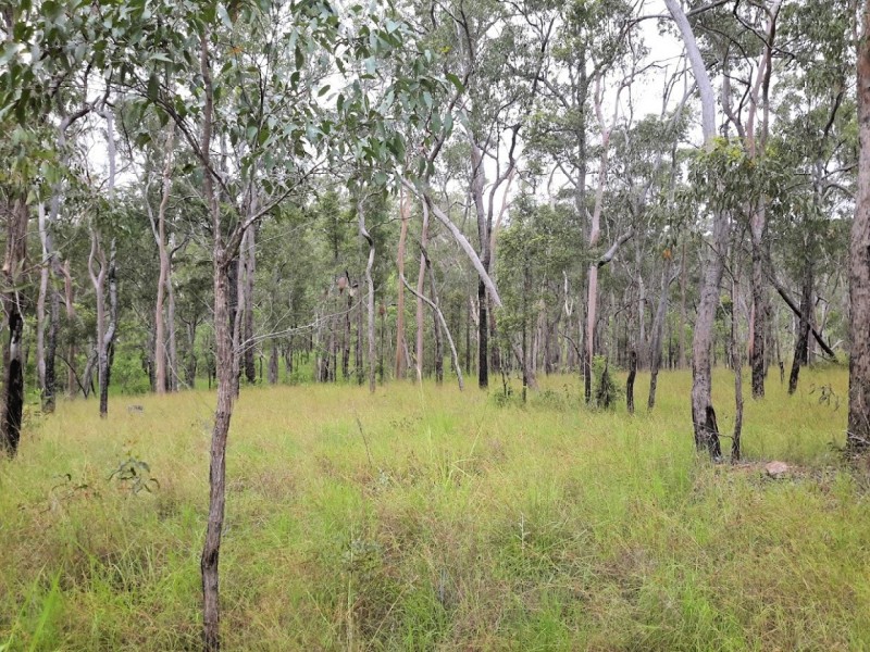 1081 Wooroora Rd, Millstream QLD 4888