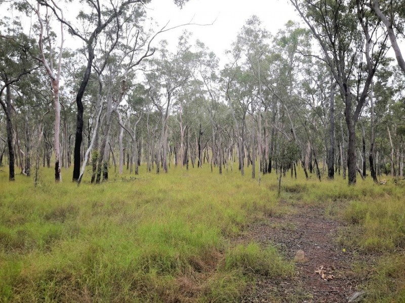 1081 Wooroora Rd, Millstream QLD 4888