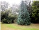 3 Pozieres St, Tumoulin QLD 4888