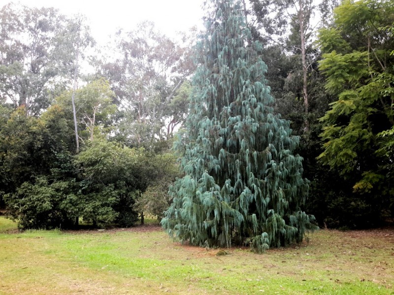 3 Pozieres St, Tumoulin QLD 4888