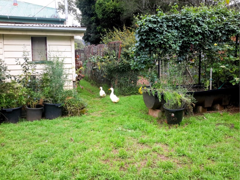 12 Ascham St, Ravenshoe QLD 4888