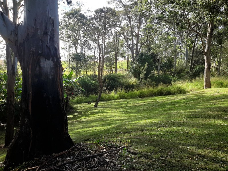 4 Mcmillan St, Ravenshoe QLD 4888