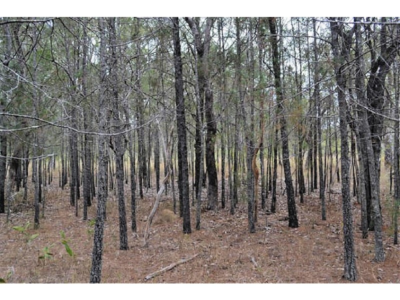 1011 Nymbool Road, Mount Garnet QLD 4872