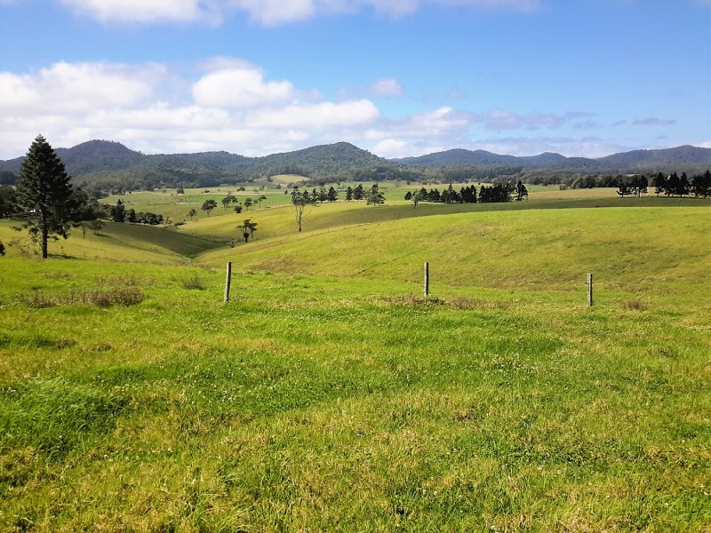 164 Glendinning Road, Ravenshoe QLD 4888