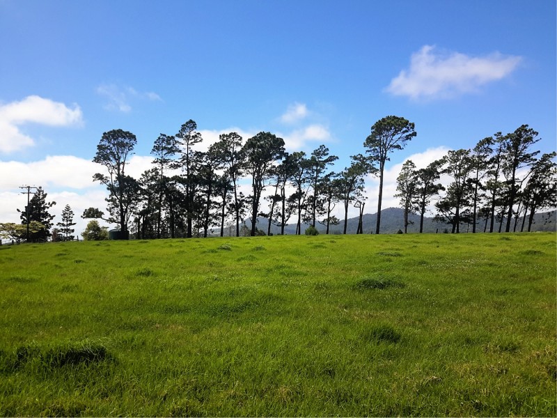 164 Glendinning Road, Ravenshoe QLD 4888