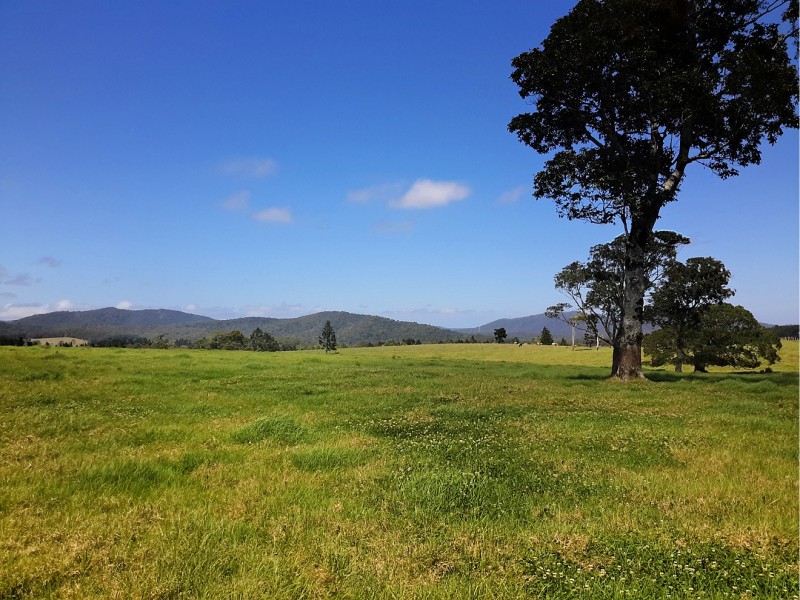 164 Glendinning Road, Ravenshoe QLD 4888