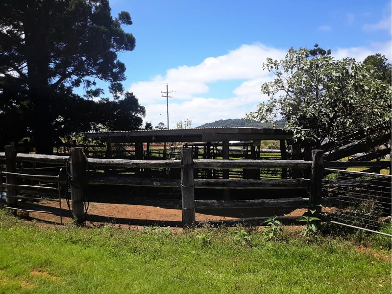 164 Glendinning Road, Ravenshoe QLD 4888