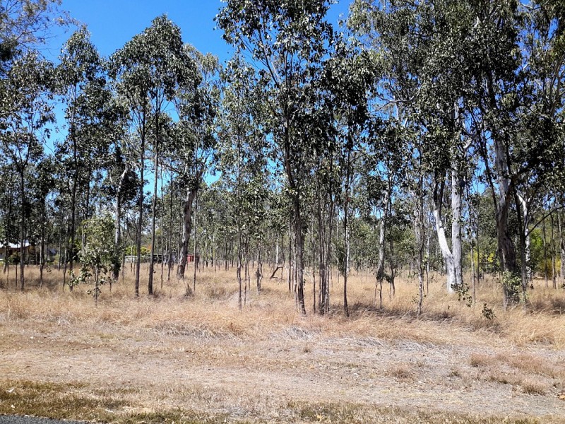 73 Western View Cres, Millstream QLD 4888