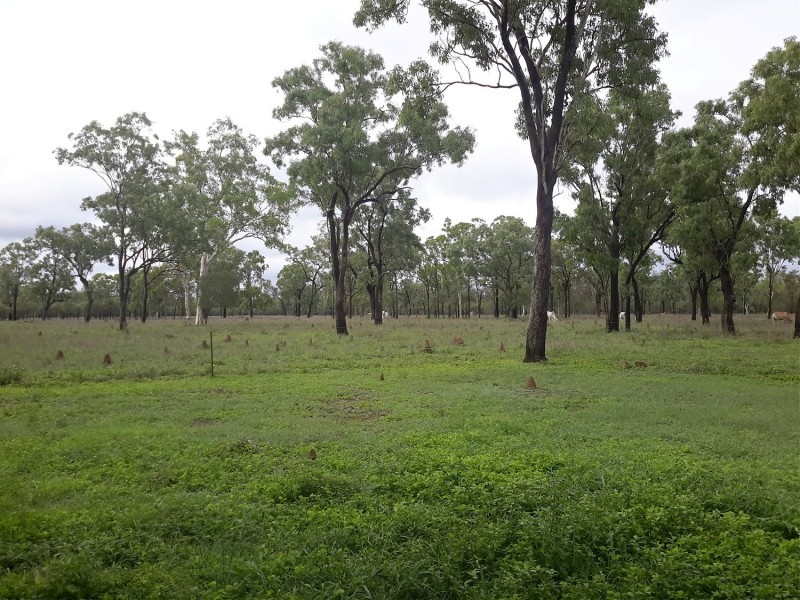 240 Gunnawarra Rd, Mount Garnet QLD 4872