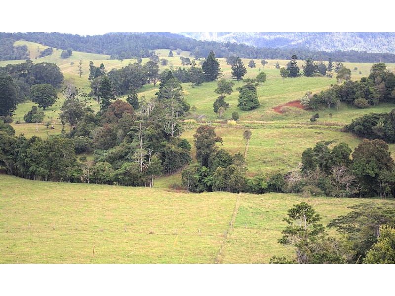 905 Old Palmerston Hwy, Middlebrook QLD 4886