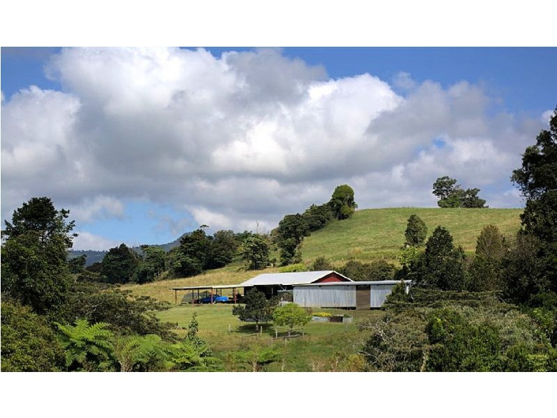 905 Old Palmerston Hwy, Middlebrook QLD 4886