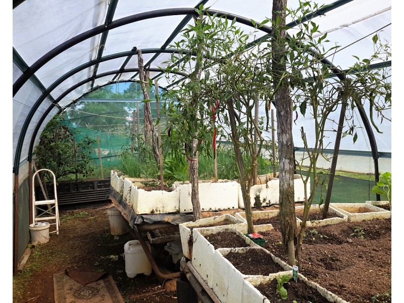 2 Gordon Earl Dr, Millstream QLD 4888