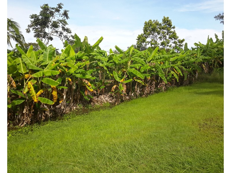 2 Gordon Earl Dr, Millstream QLD 4888