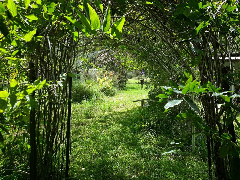 Off Herbert Street, Ravenshoe QLD 4888