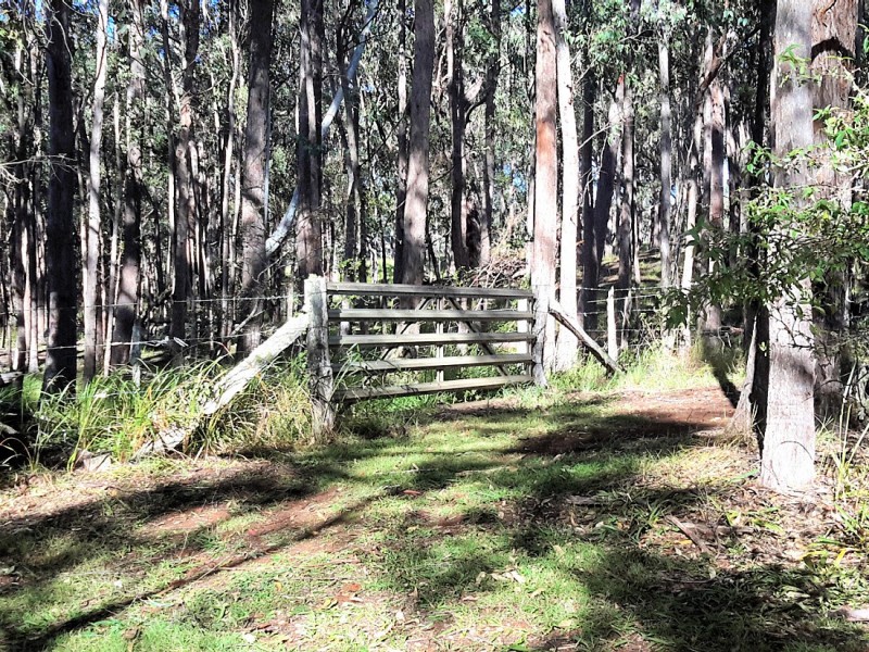 78 Mackenzie Rd, Evelyn QLD 4888