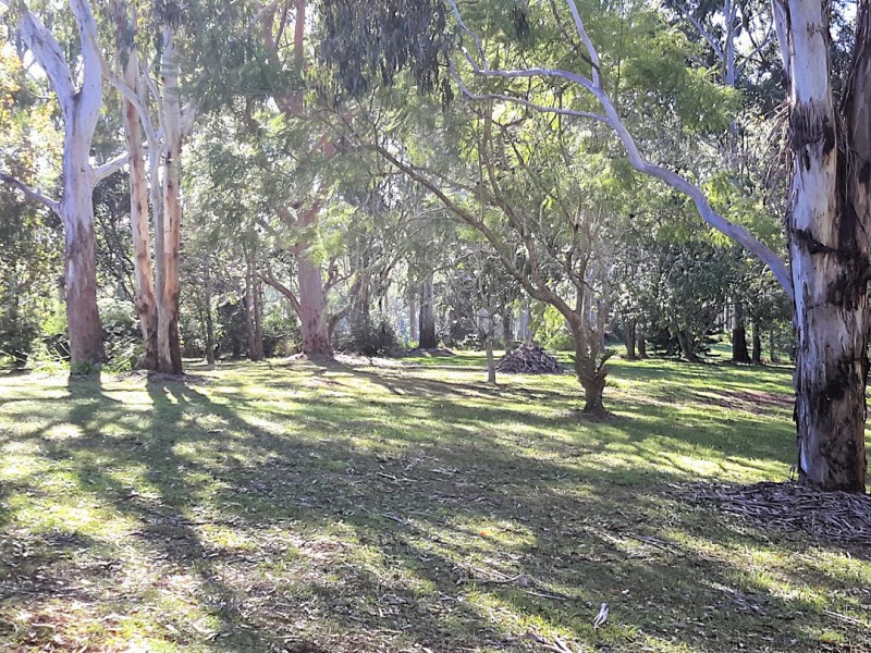 78 Mackenzie Rd, Evelyn QLD 4888