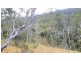 113 Greys Lane, Ravenshoe QLD 4888