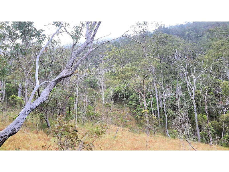 113 Greys Lane, Ravenshoe QLD 4888