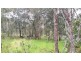 113 Greys Lane, Ravenshoe QLD 4888