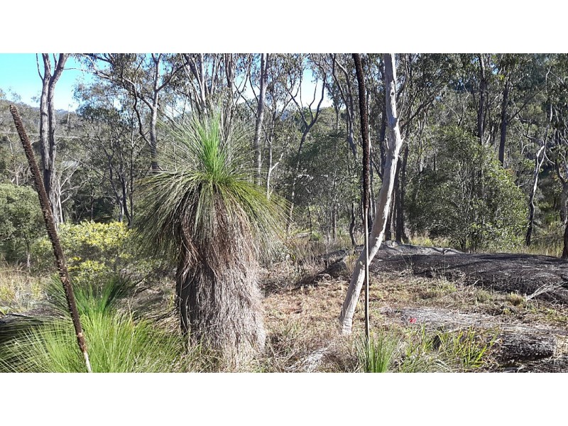 8 Ruby St, Herberton QLD 4887