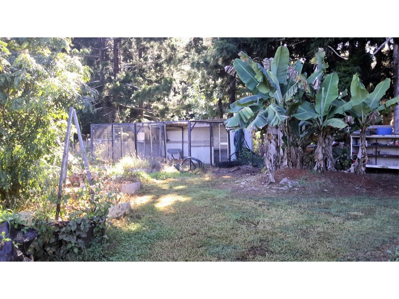 847 Tully Falls Rd, Ravenshoe QLD 4888